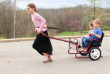 AmishToyBox.com Lollipop Express Double Stroller-Cart Combo, Easily Converts From Stroller to Horsey Cart, Play Harness Included