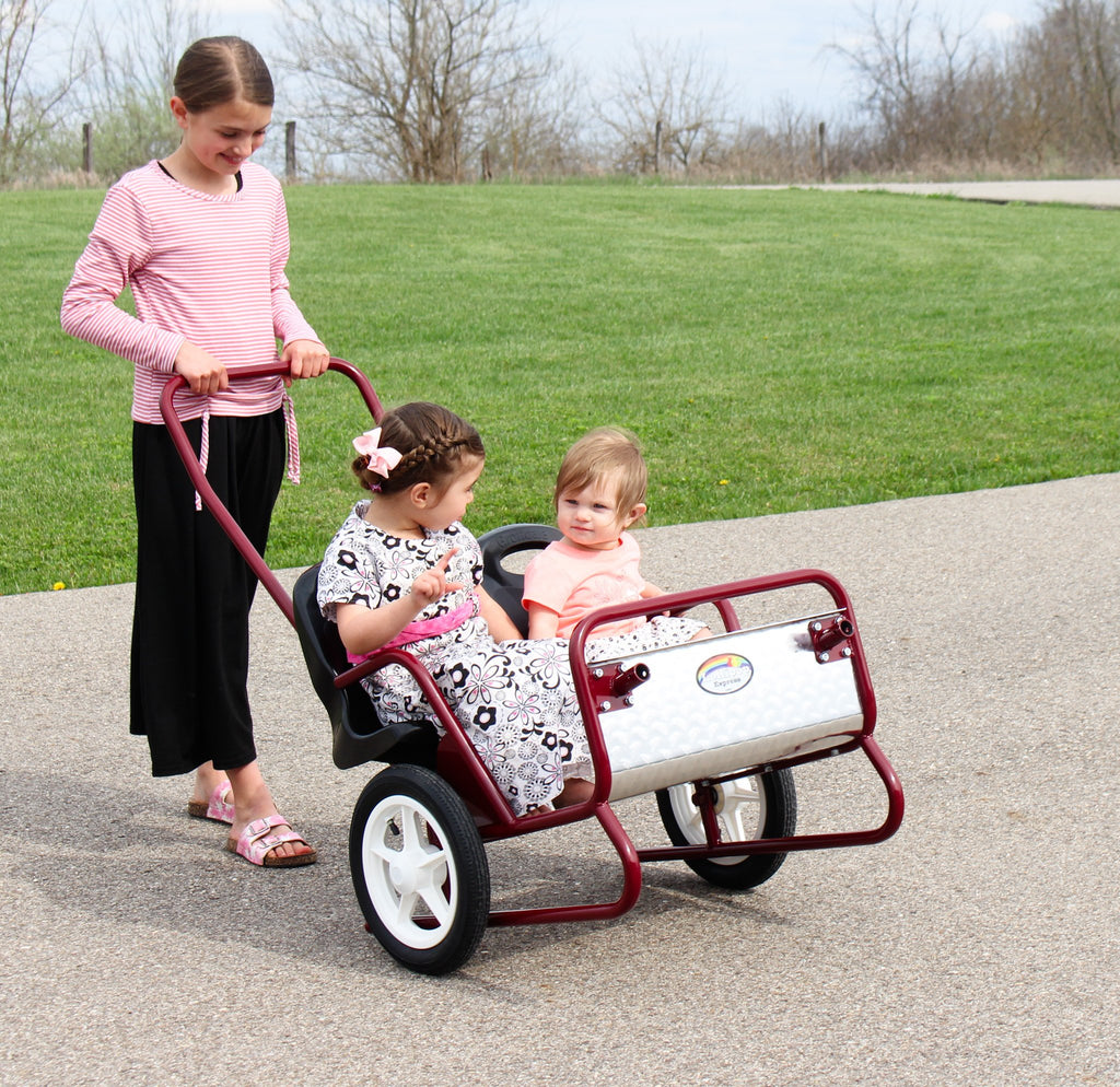 Lollipop Express Double Stroller-Cart Combo, Play Harness Included