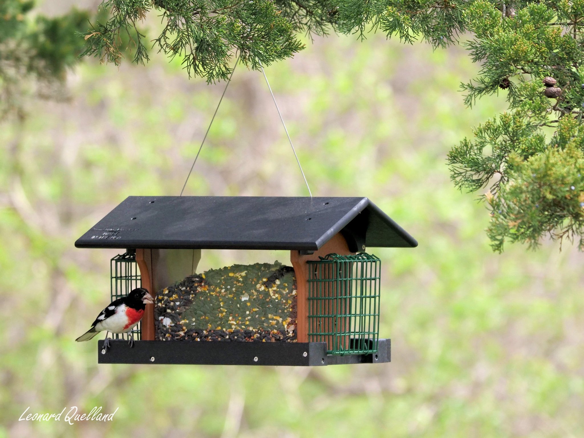 Amish-Made Deluxe Bird Feeder with Suet Holder, Eco-Friendly Poly