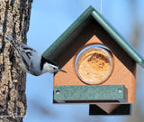 Peanut Butter Bird Feeder, Eco-Friendly Poly Lumber, Fits 18 Oz. Jar of Peanut Butter